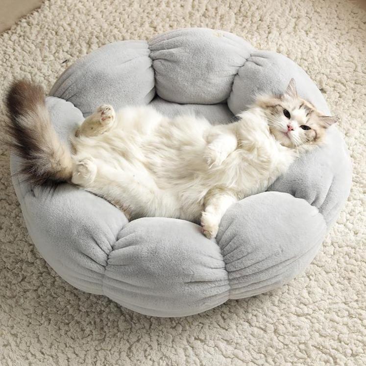 Flower Shaped Cat Bed-Kawaii Dream