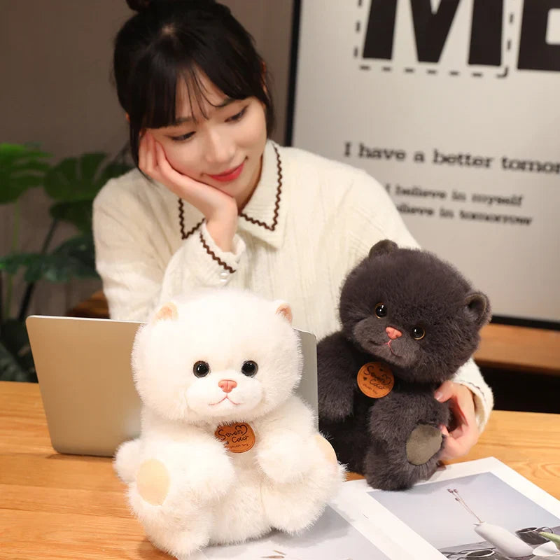 Fluffy Kitten Squad Plushies-Kawaii Dream