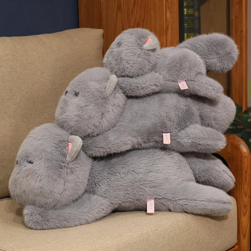 Kawaii Soft Sleeping Cat-Kawaii Dream