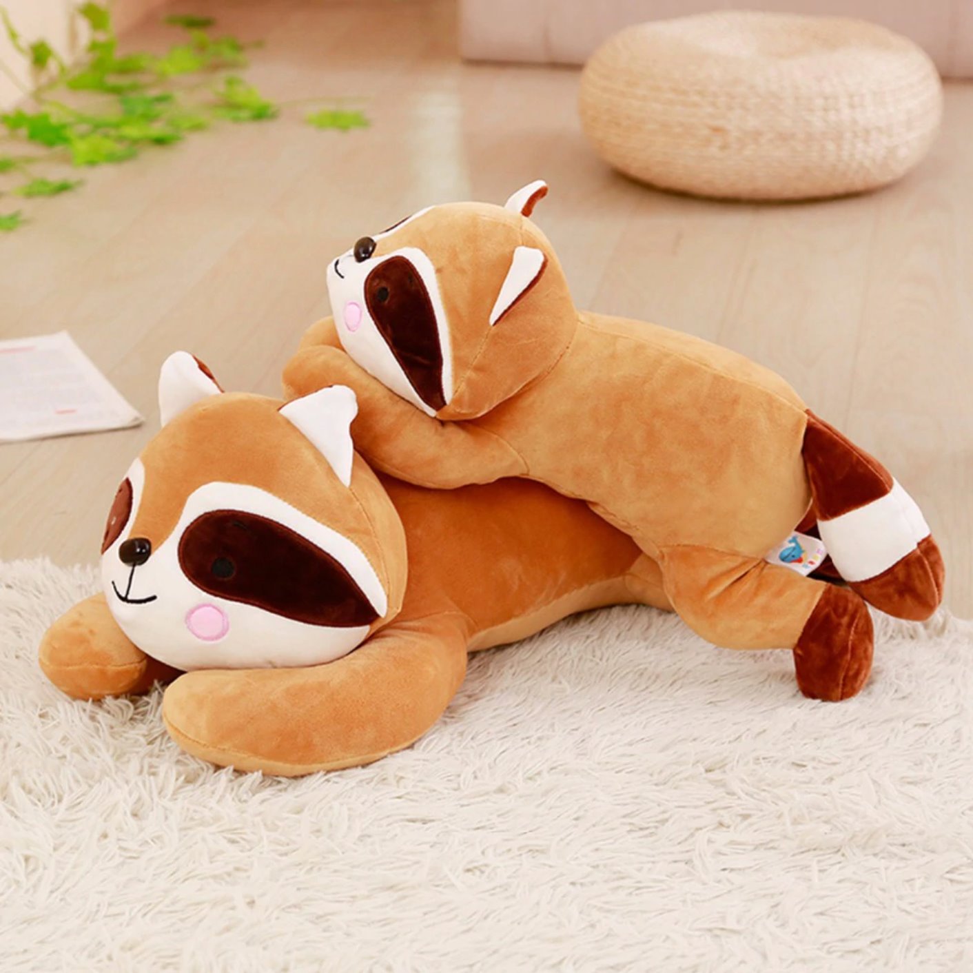 Randy the Racoon-Kawaii Dream