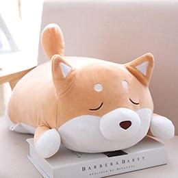Chubby Shiba Inu-Kawaii Dream