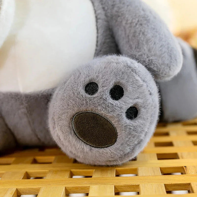 Coonie and Goonie the Raccoon Plushie Buddies-Kawaii Dream