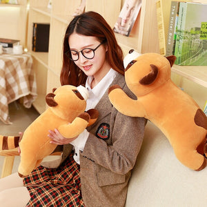 Cooper the Brown Raccoon Plushie-Kawaii Dream