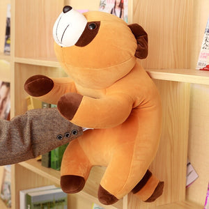 Cooper the Brown Raccoon Plushie-Kawaii Dream