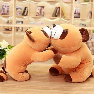 Cooper the Brown Raccoon Plushie-Kawaii Dream