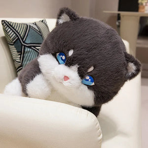 Cute Chubby Gray Ginger Cat Plushies-Kawaii Dream