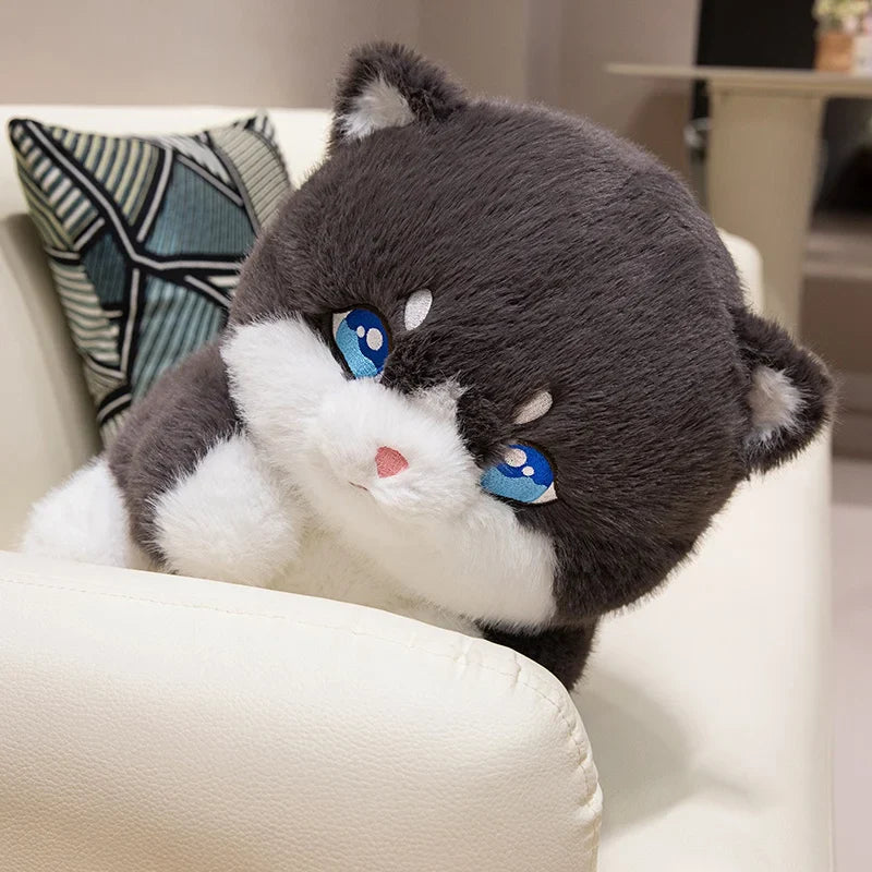 Cute Chubby Gray Ginger Cat Plushies-Kawaii Dream