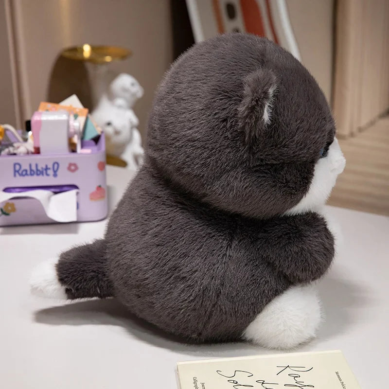 Cute Chubby Gray Ginger Cat Plushies-Kawaii Dream
