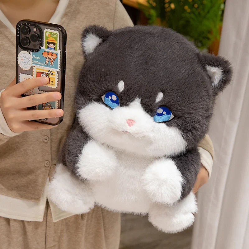 Cute Chubby Gray Ginger Cat Plushies-Kawaii Dream