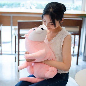 Cute Otter Plushies-Kawaii Dream