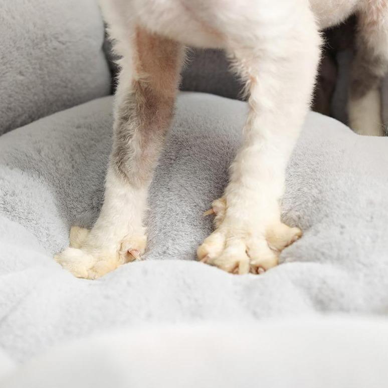 Flower Shaped Cat Bed-Kawaii Dream