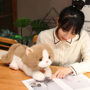 Fluffy Kitten Squad Laying Plushies-Kawaii Dream