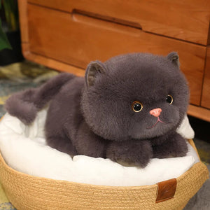 Fluffy Kitten Squad Laying Plushies-Kawaii Dream