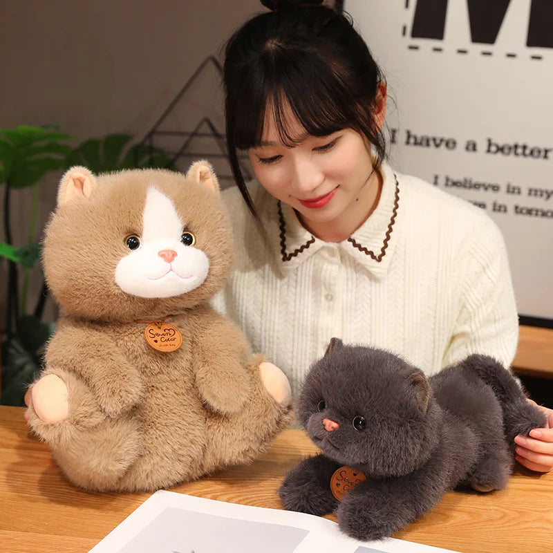 Fluffy Kitten Squad Plushies-Kawaii Dream