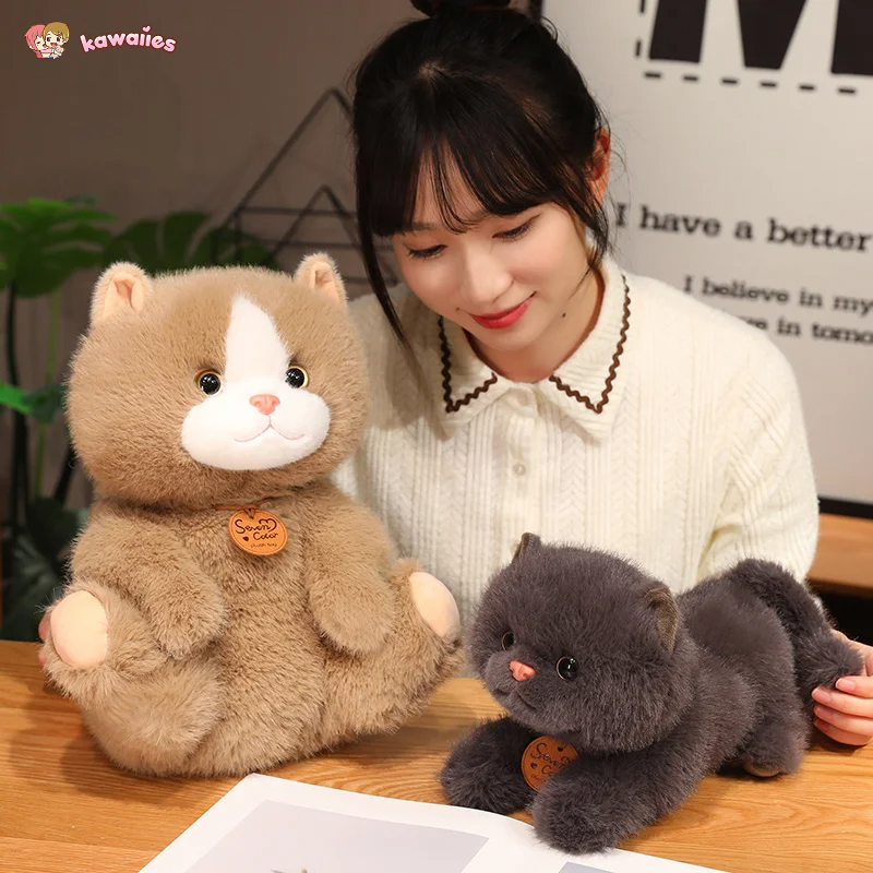 Fluffy Kitten Squad Plushies-Kawaii Dream