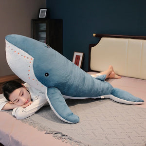 Giant Sea Whale Hammerhead Shark Collection-Kawaii Dream