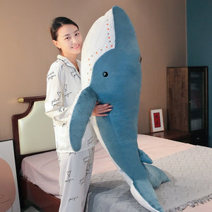 Giant Sea Whale Hammerhead Shark Collection-Kawaii Dream