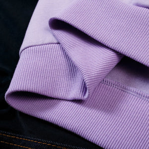 Harajuku Kawaii Cute Dipsy Dinosaur Hoodie-Kawaii Dream