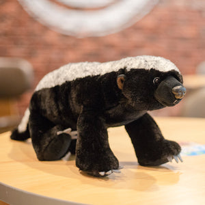 Honey Badger Plushie-Kawaii Dream