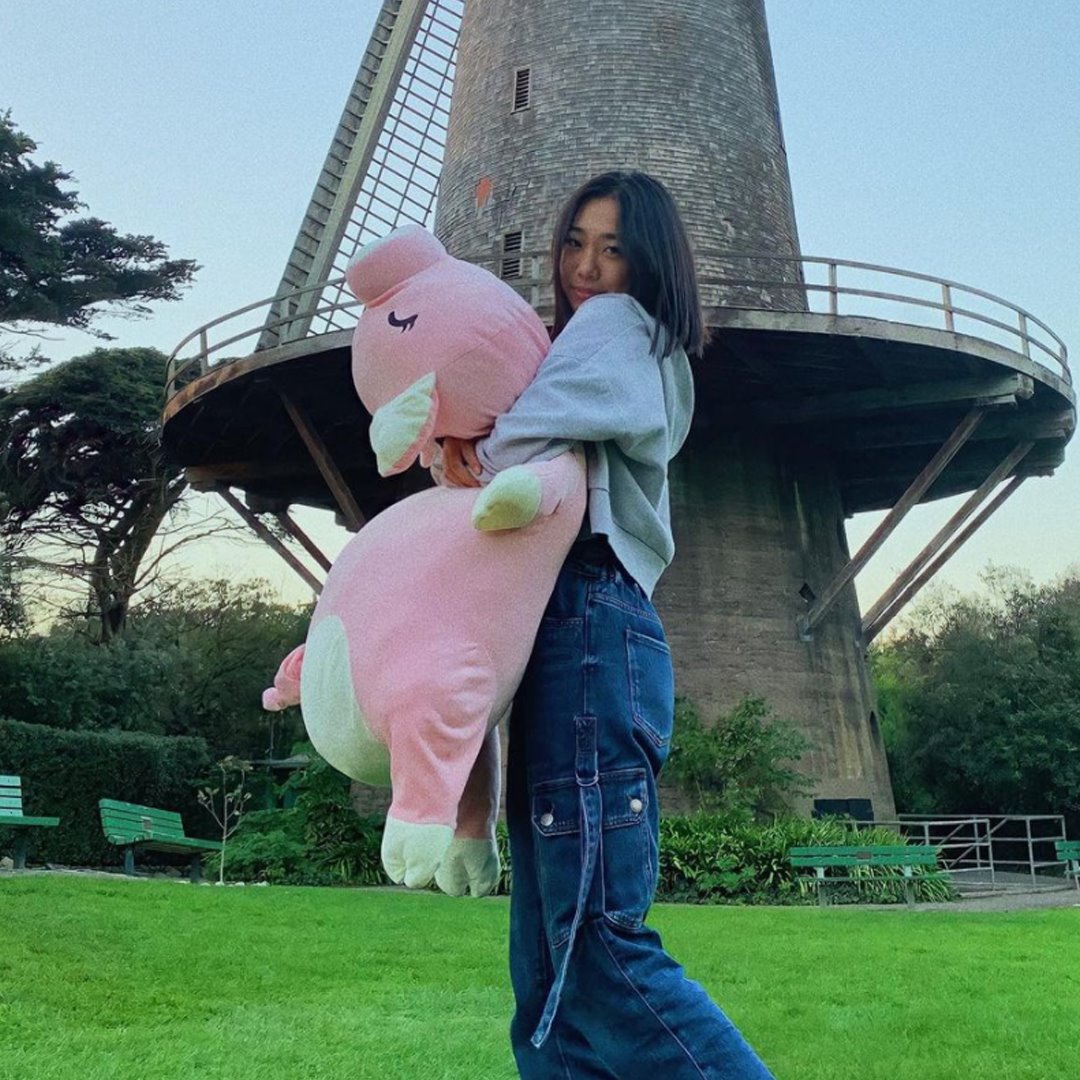 Jeju The Piggy Plushie | Exclusive-Kawaii Dream