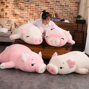 Jeju The Piggy Plushie | Exclusive-Kawaii Dream