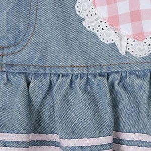 Kawaii Harajuku Japanese-themed Lolita Mini Denim Checked Women's Skirt-Kawaii Dream