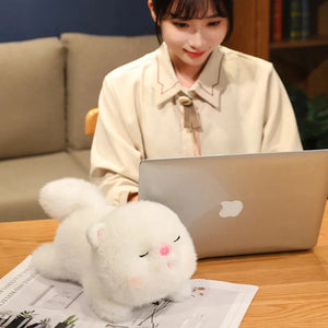 Kawaii Soft Sleeping Cat-Kawaii Dream