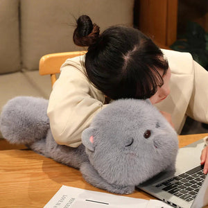 Kawaii Soft Sleeping Cat-Kawaii Dream