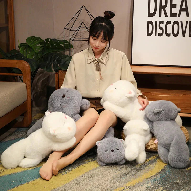 Kawaii Soft Sleeping Cat-Kawaii Dream