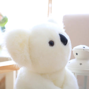 Koala Bear Family-Kawaii Dream