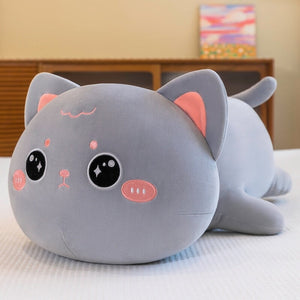 Momo & Nala the Kawaii Laying Cats-Kawaii Dream