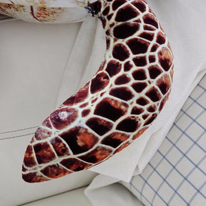 Ocean Sea Turtle Plushies-Kawaii Dream