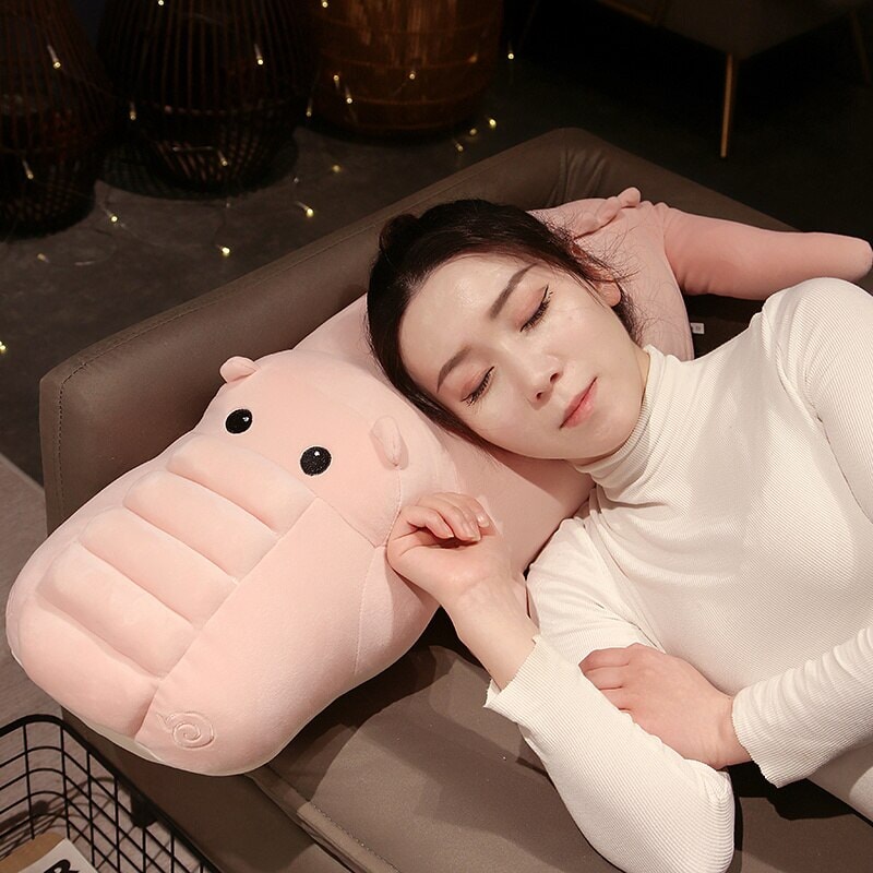 Odin & Narla the Soft Crocodile Plushies-Kawaii Dream