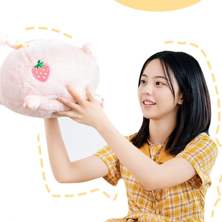 Penny Pig and Benny Boar-Kawaii Dream