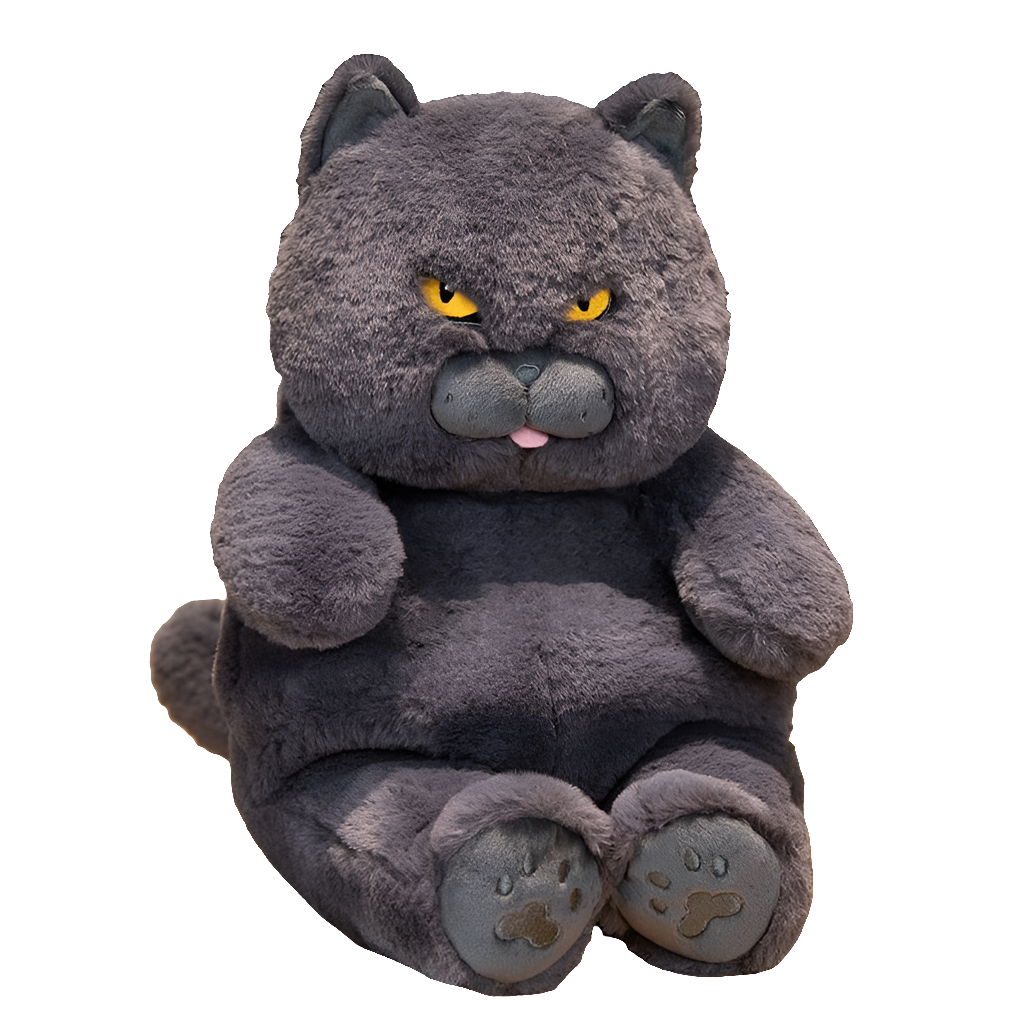 Poe the Grumpy Cat Plushie-Kawaii Dream