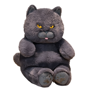 Poe the Grumpy Cat Plushie-Kawaii Dream