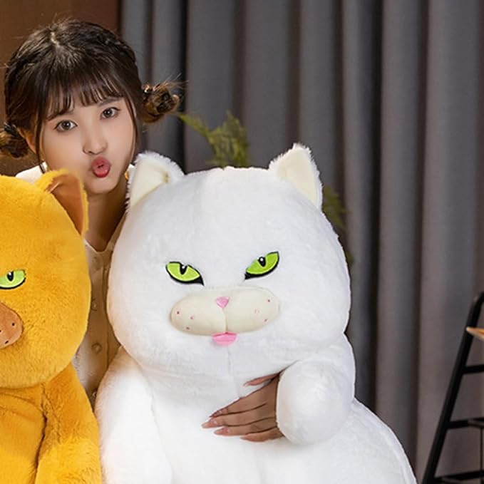 Poe the Grumpy Cat Plushie-Kawaii Dream