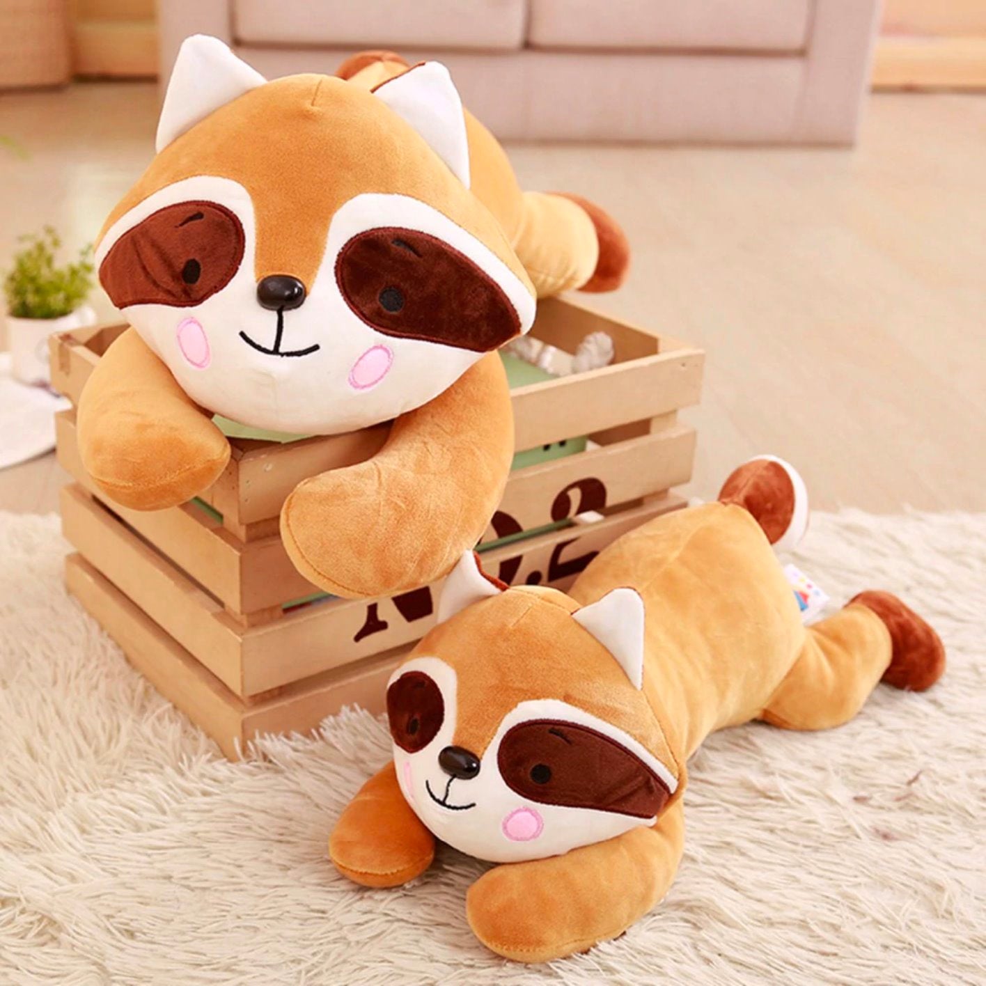 Randy the Racoon – Kawaii Dream
