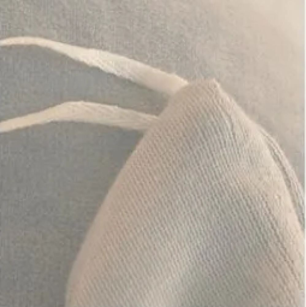 Rose Gray Pink Velvet 3 Pc Bedding Set-Kawaii Dream