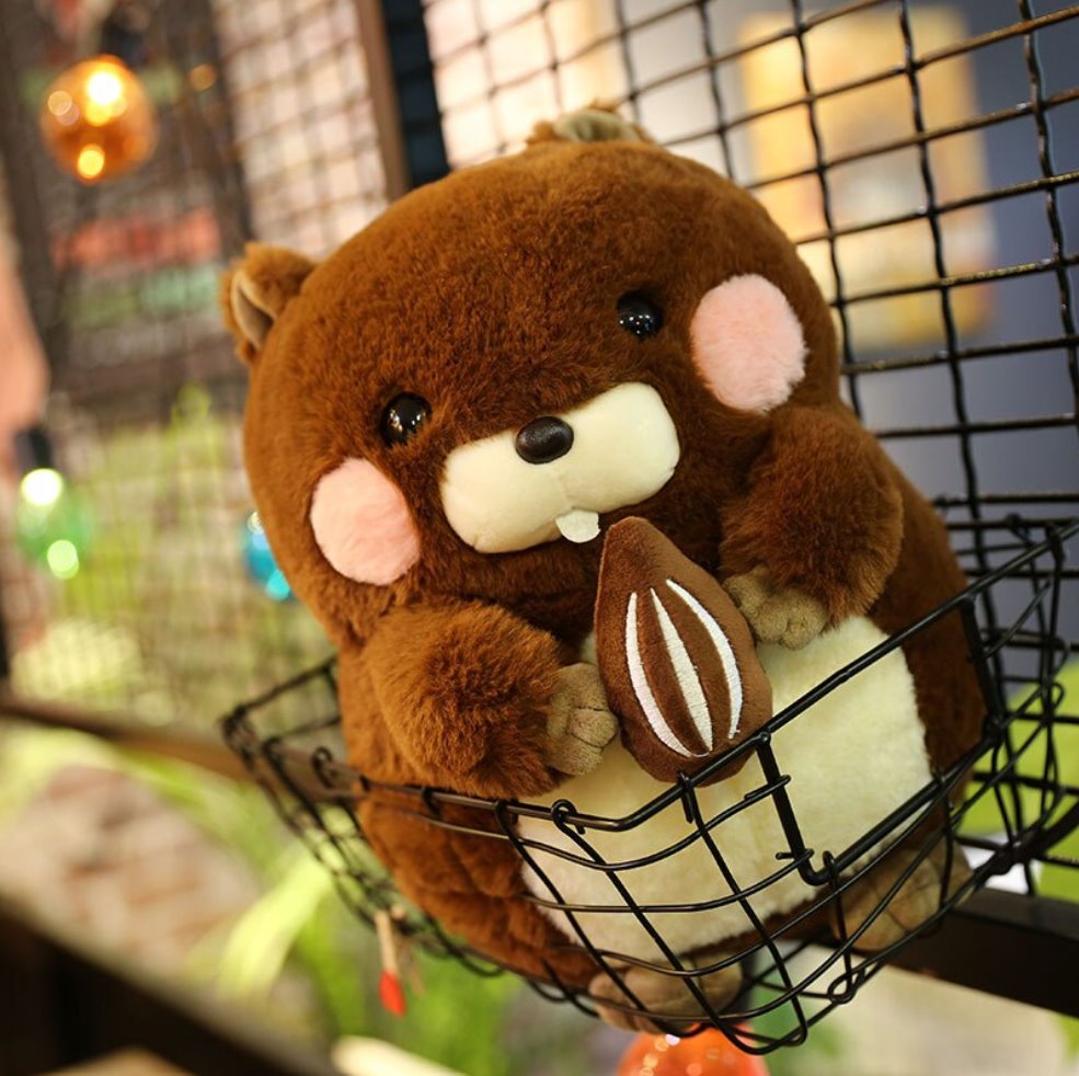 Snacking Beaver Plushies | LIMITED STOCK-Kawaii Dream
