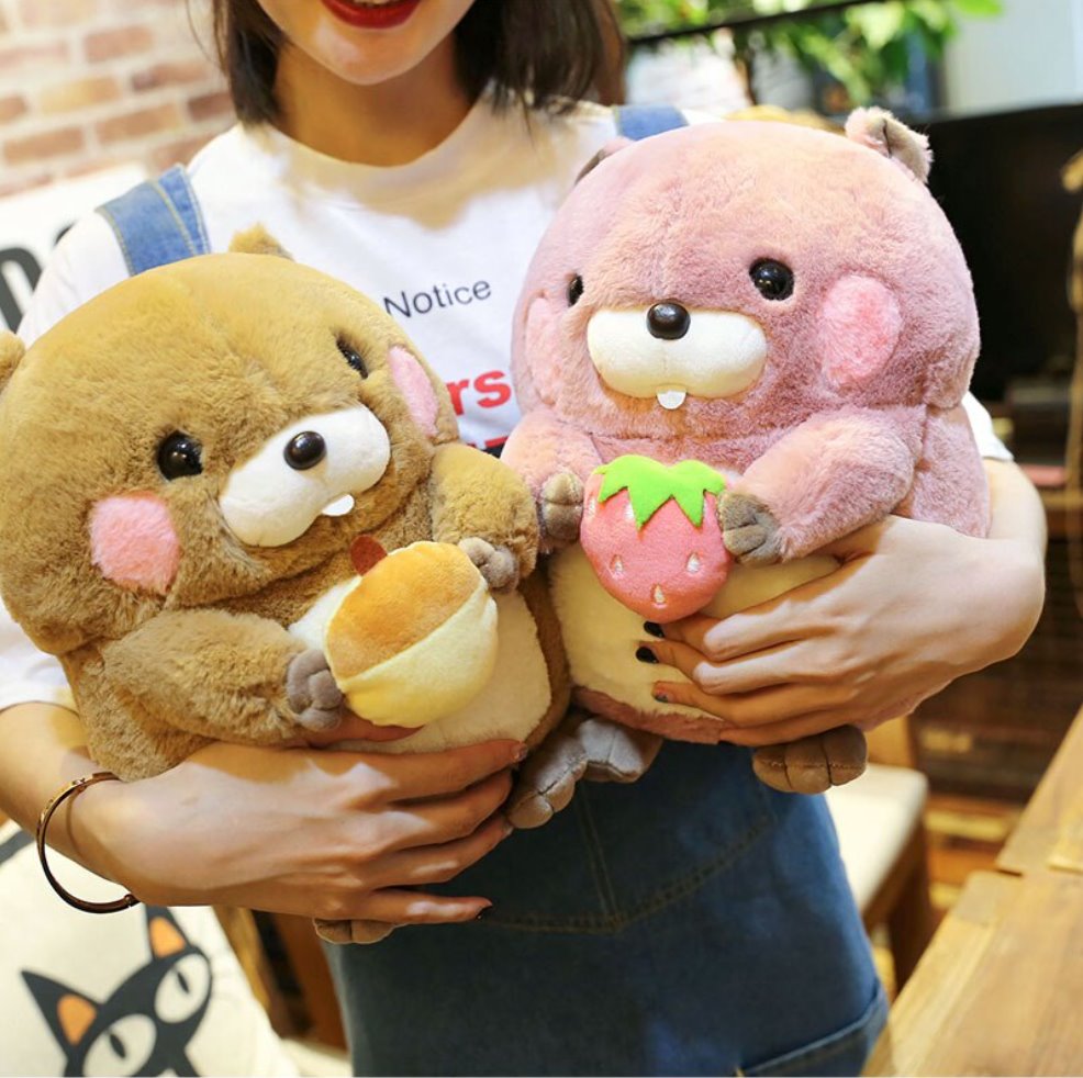 Snacking Beaver Plushies | LIMITED STOCK-Kawaii Dream