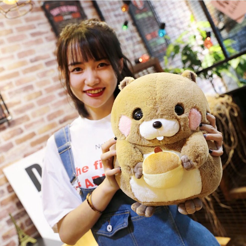 Snacking Beaver Plushies | LIMITED STOCK-Kawaii Dream