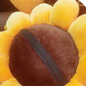 Sunny Sunflower Cushion-Kawaii Dream