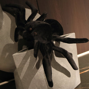 Terry the Tarantula-Kawaii Dream