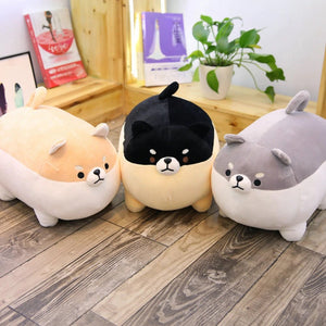 The Angry Shiba Trio Plushies-Kawaii Dream
